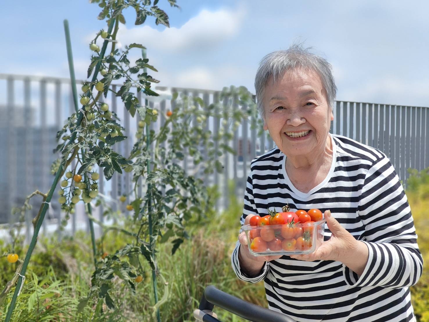 トマトがたくさん採れました！＊＊高殿苑やさいクラブ＊＊